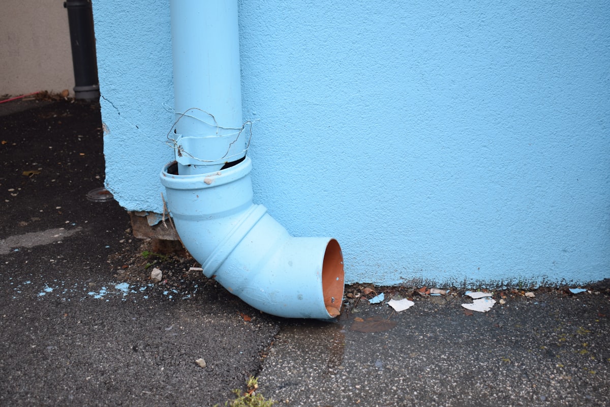 Water Extraction service in Longmont, CO