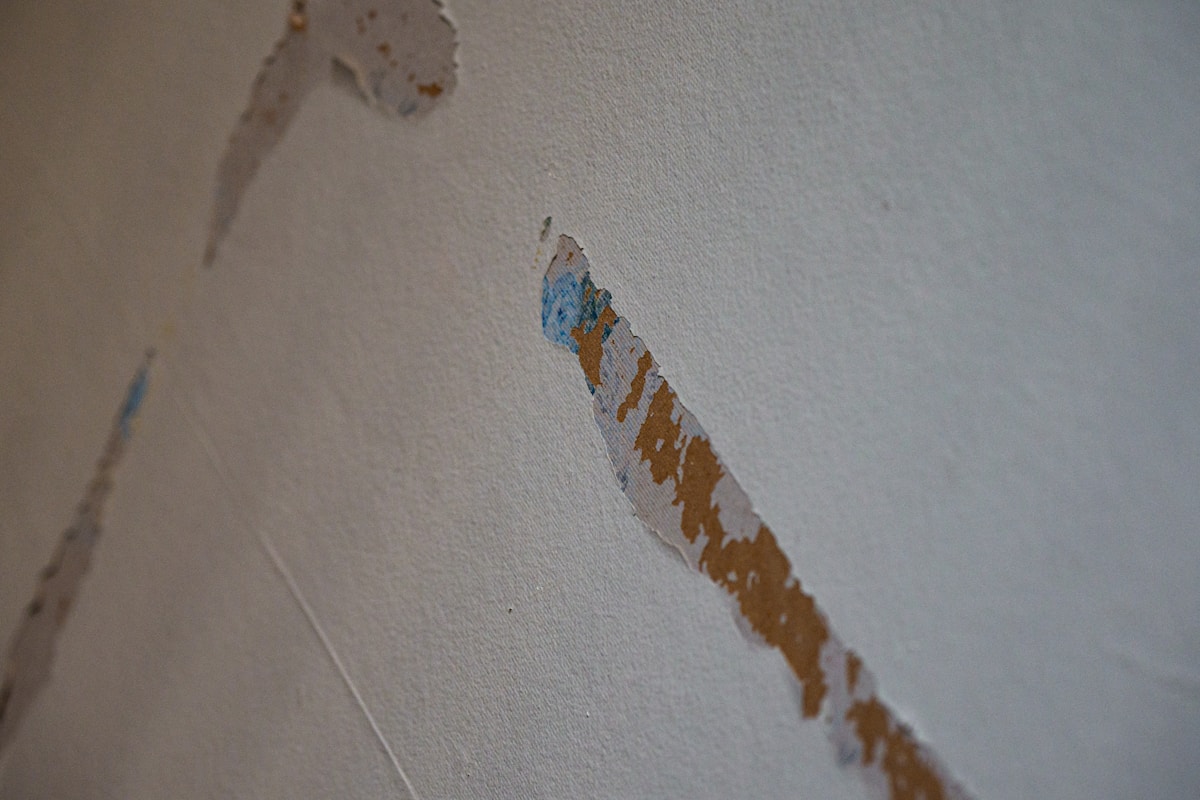 Storm Damage Repair service in Longmont, CO